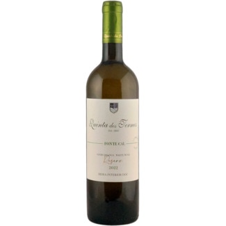 Vinho Branco da Beira Interior Fonte Cal garrafa 75 cl - Quinta Dos Termos