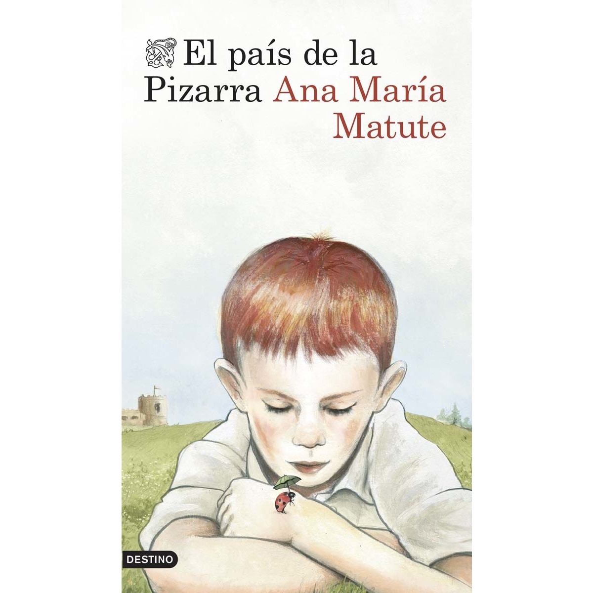 Imagem 0 de El país de la Pizarra (Capa mole)