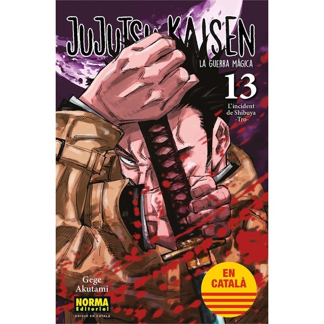 Imagen 0 de JUJUTSU KAISEN 13 CATALA