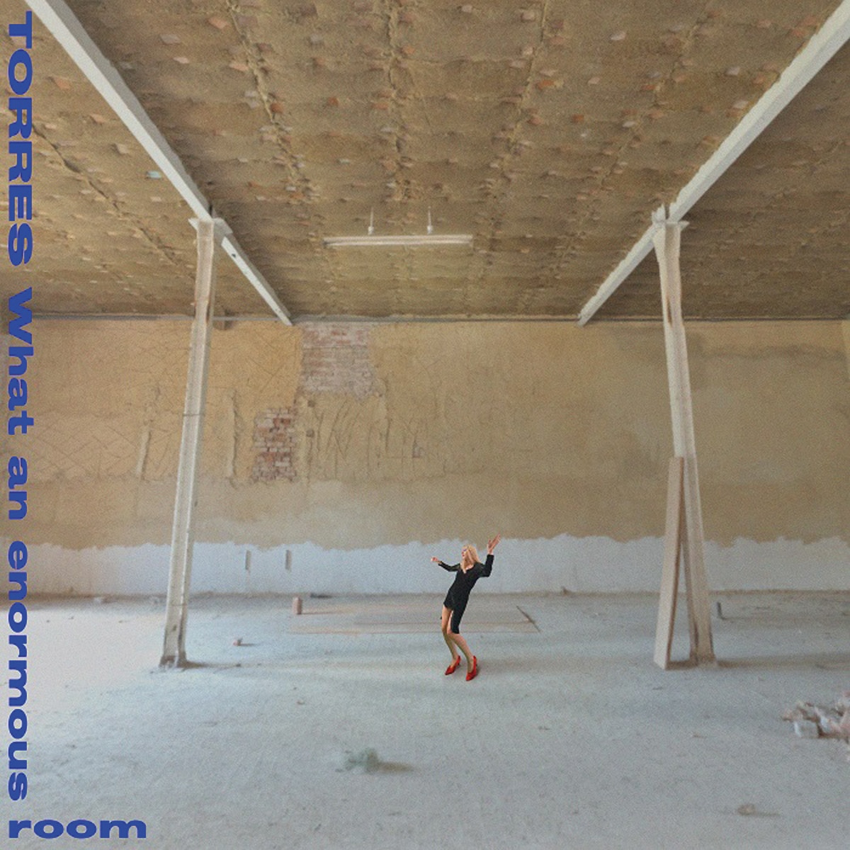 Imagen 1 de What an enourmous room (CD)