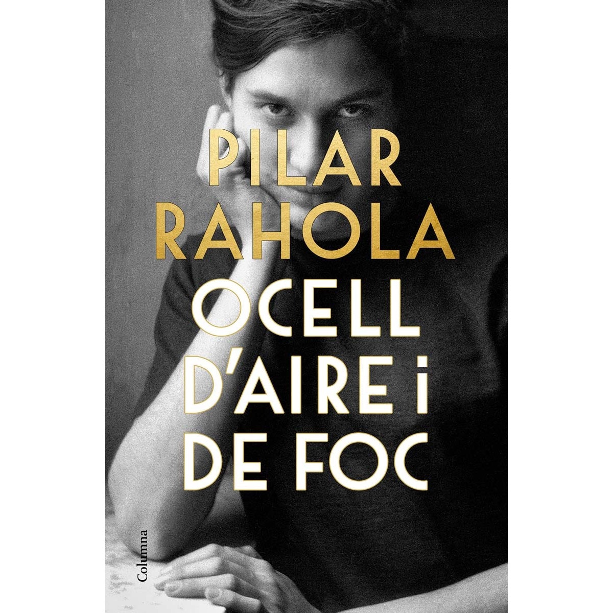 Imagem 0 de Ocell d'aire i de foc