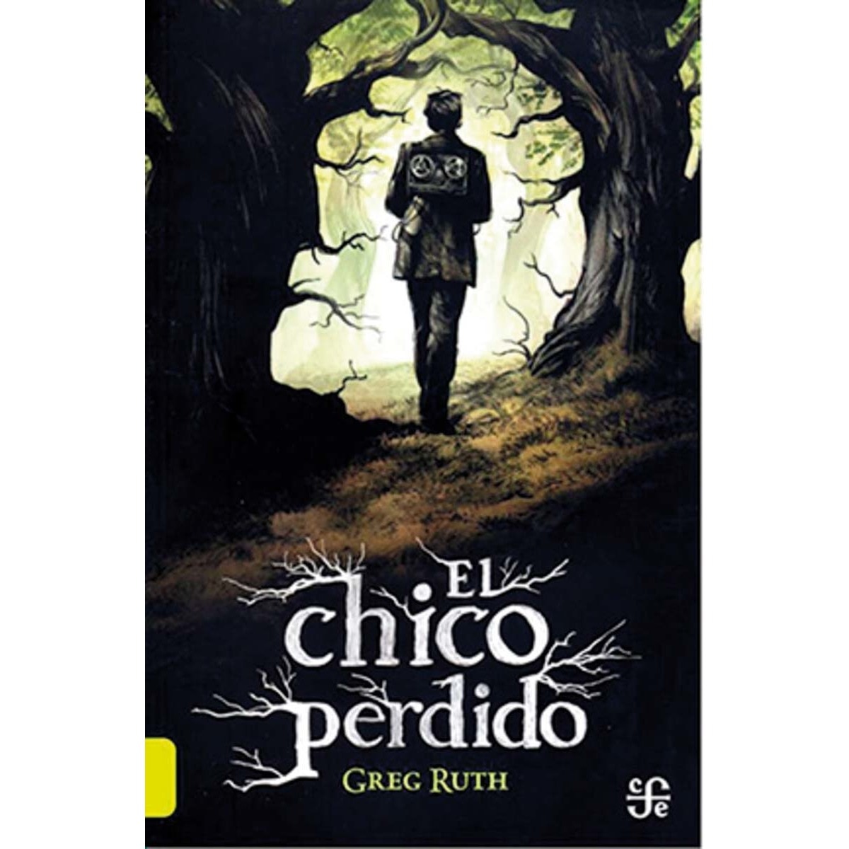El chico perdido 1