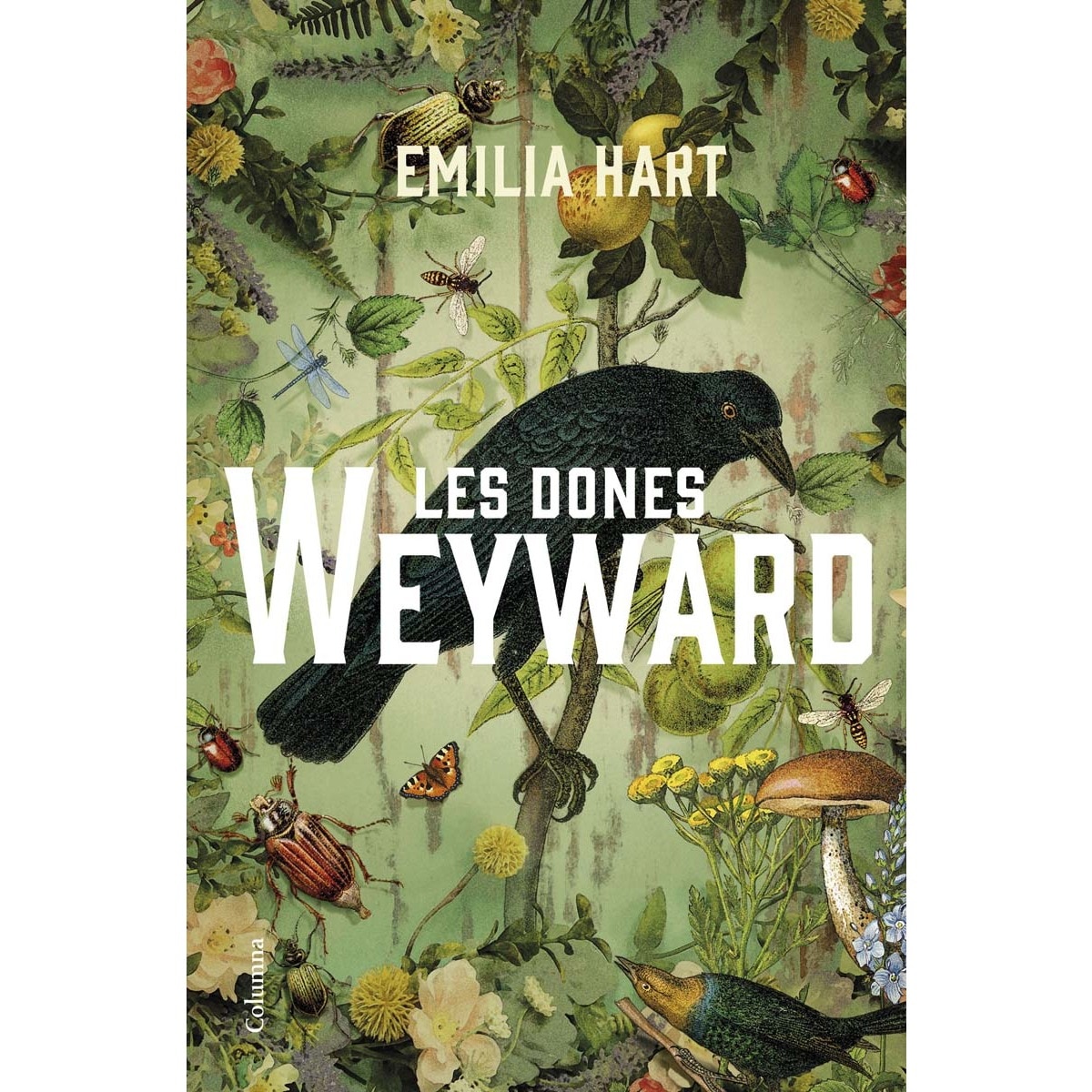 Les dones Weyward (Capa mole com abas) 1