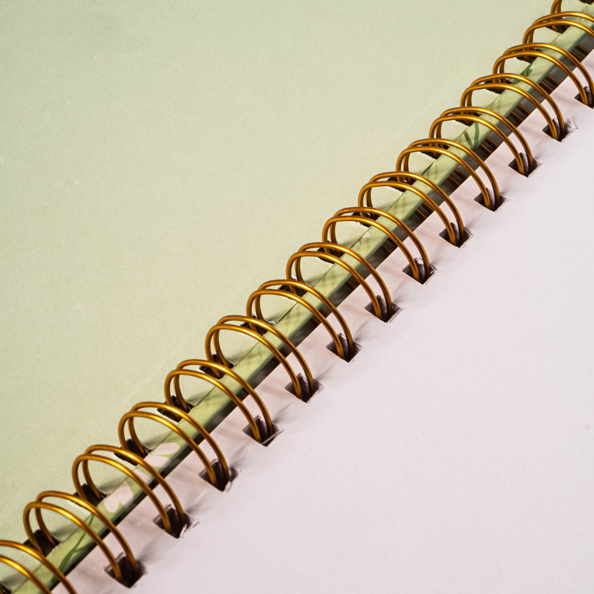 Libreta espiral L margaritas Frost azul /Blanco Verde / Blanco-2