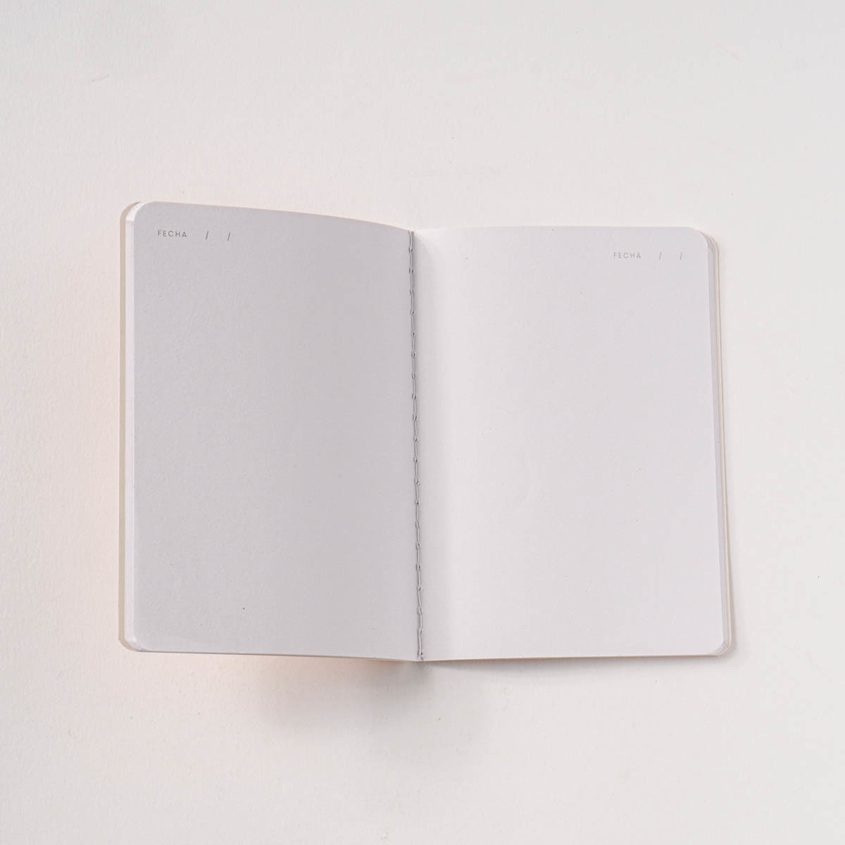 Cuadernos S blanco y rayas margaritas Frost azul /Verde Azul / Verde-3