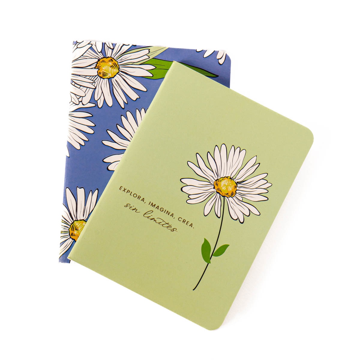 Imagen 0 de Cuadernos S blanco y rayas margaritas Frost azul /Verde