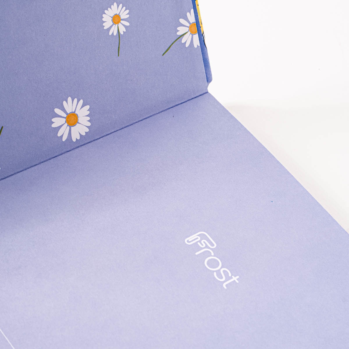 Cuaderno de tapa dura M Frost azul /Verde Azul / Verde-3