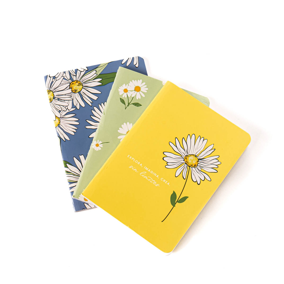 Juego de 3 cuadernos S margaritas Frost azul  /Multicolor Azul / Multicolor-1