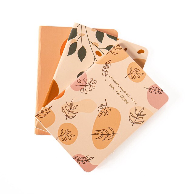 Imagen 0 de Juego de 3 cuadernos S hojas Frost naranja /Multicolor