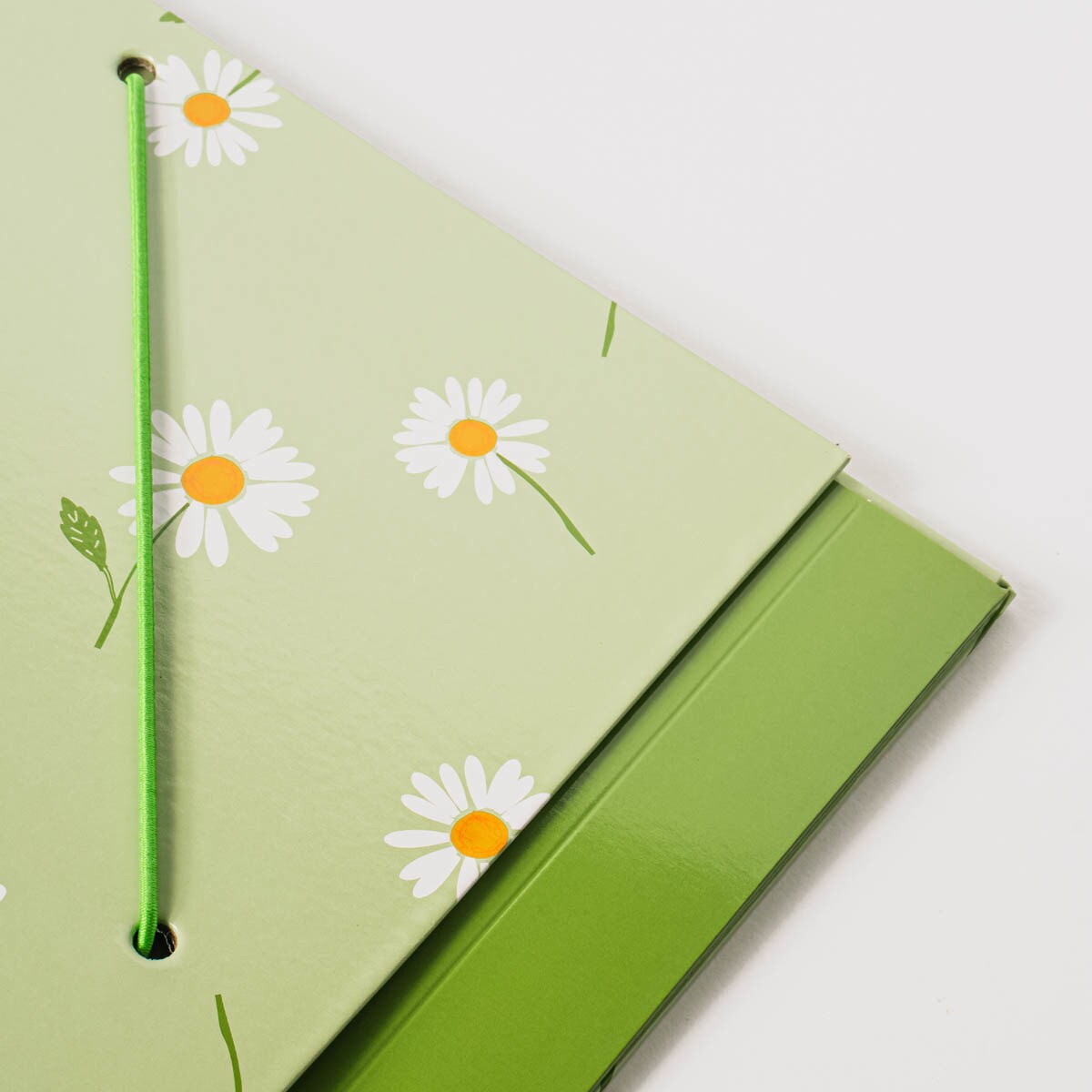 Carpeta con gomas margaritas Frost azul /Blanco Verde / Blanco-2