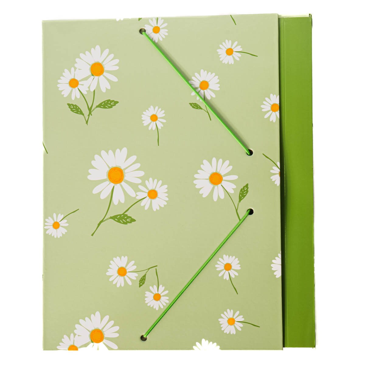 Carpeta con gomas margaritas Frost azul /Blanco Verde / Blanco-1