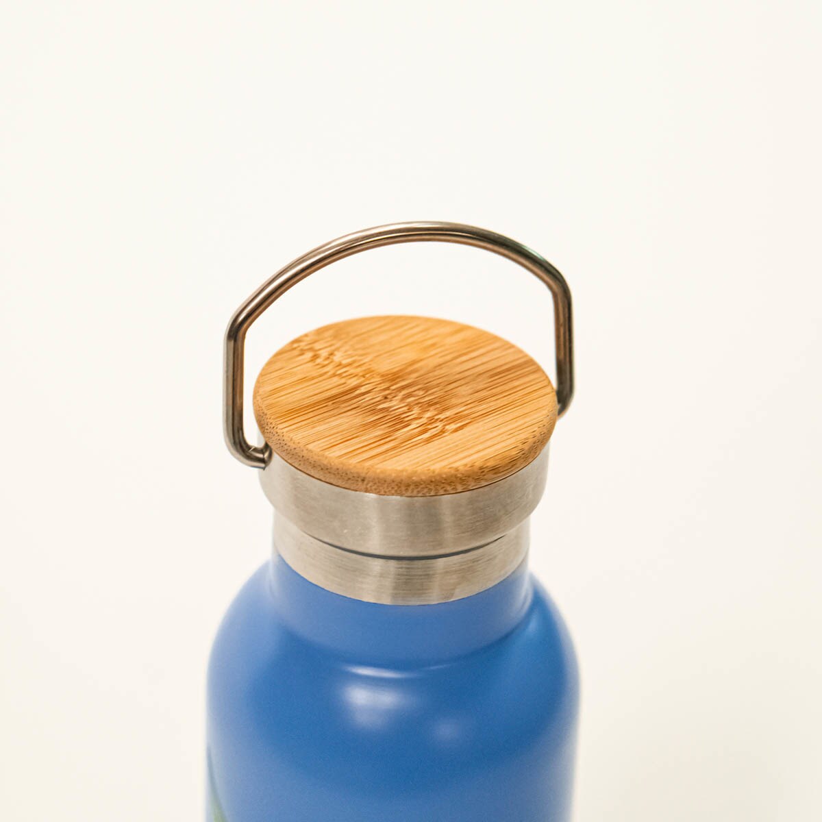 Garrafa de Aço Inoxidável Margaridas - Azul/Multicolor Azul / Multicolor-2