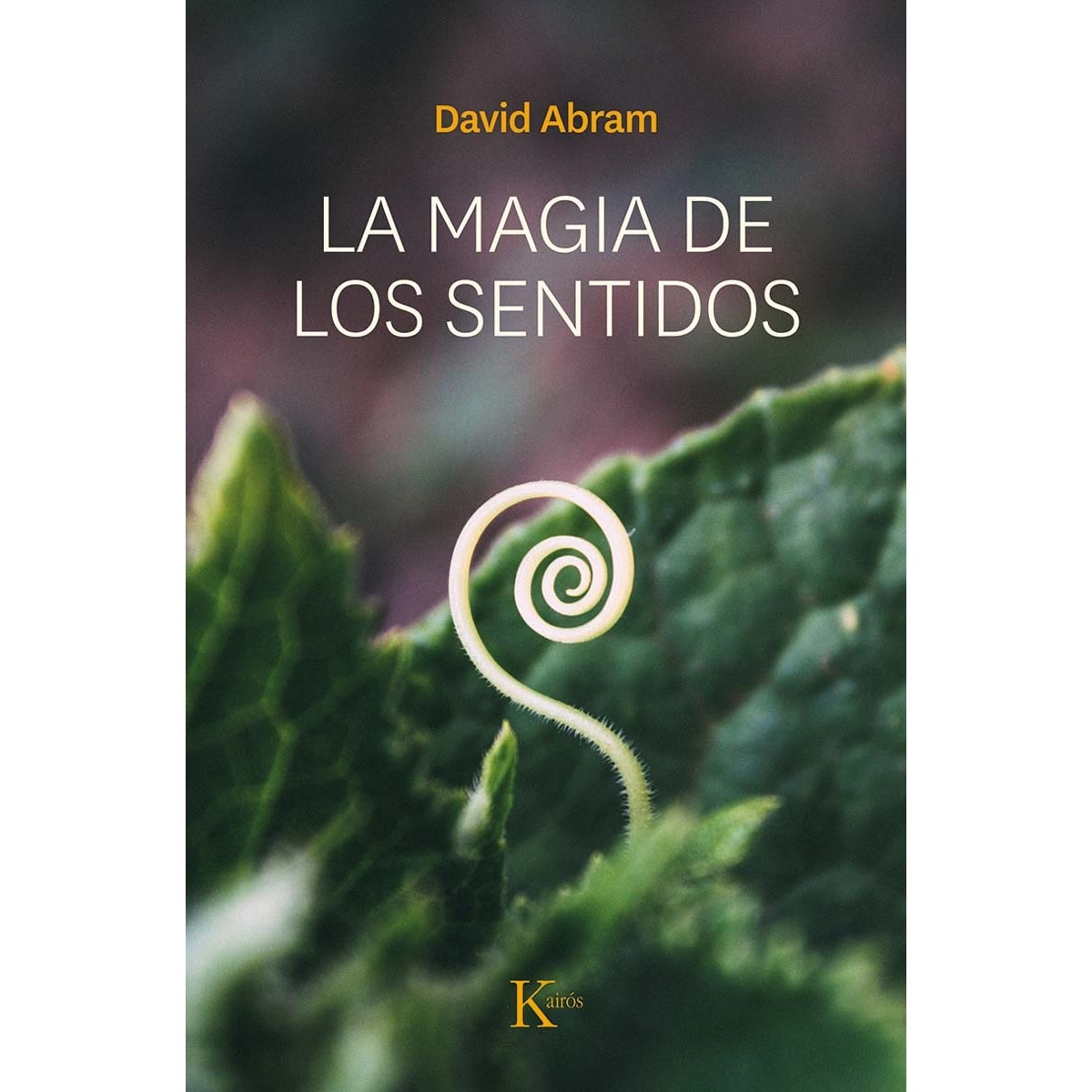La magia de los sentidos (Capa mole com abas) 1