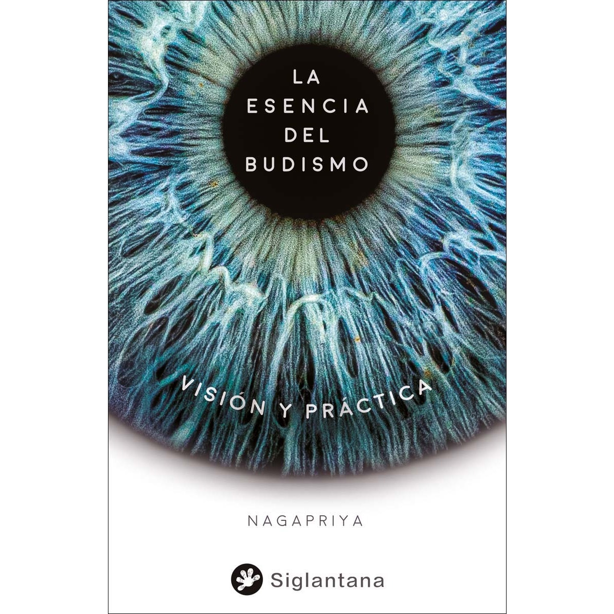 La esencia del budismo: Visión y práctica (Capa mole) 1