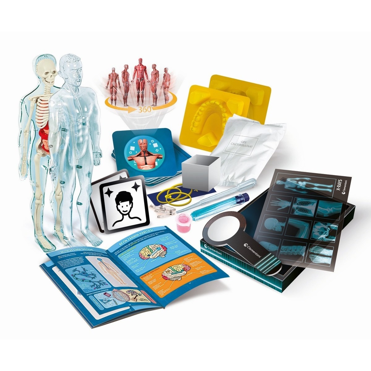 Super Anatomia 3