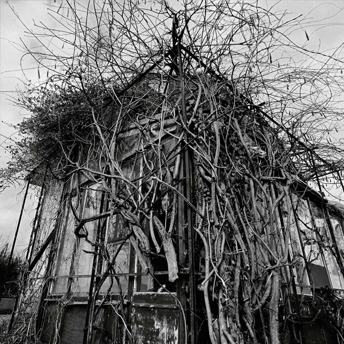 Imagem 0 de Dead Decades (Edição Color) (LP-Vinil)