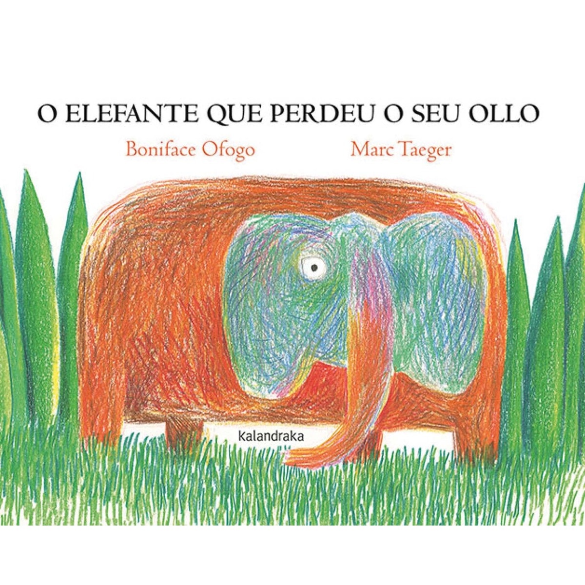 Imagem 0 de O elefante que perdeu o seu ollo (Capa dura)