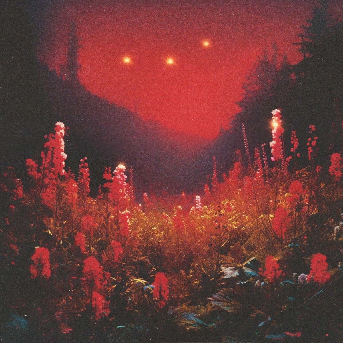 Superbloom (CD) 1