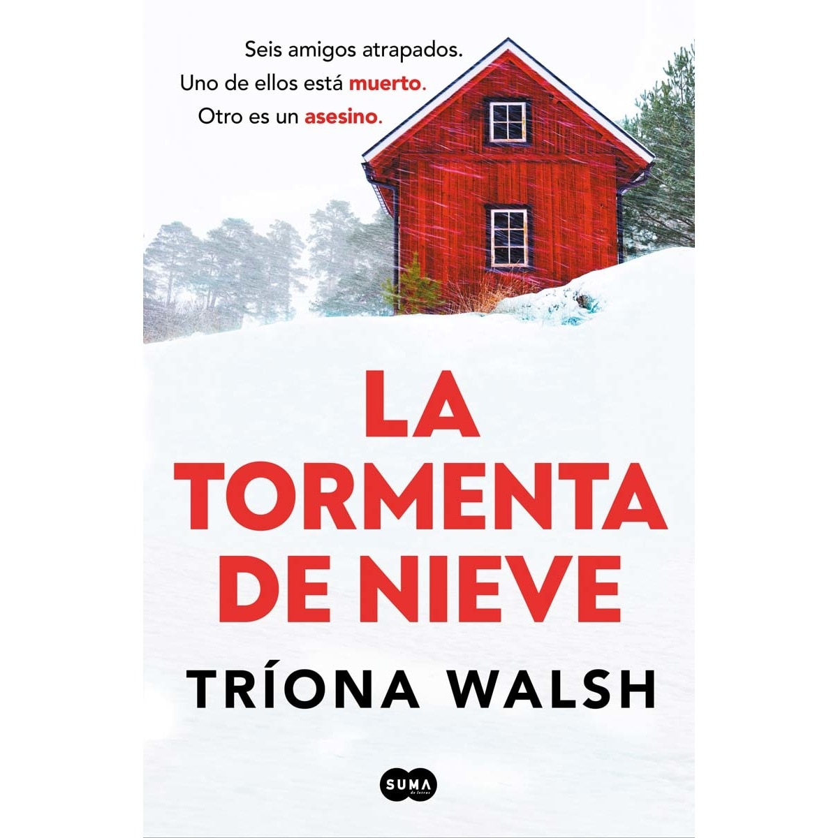 Tormenta de nieve (Capa mole) 1