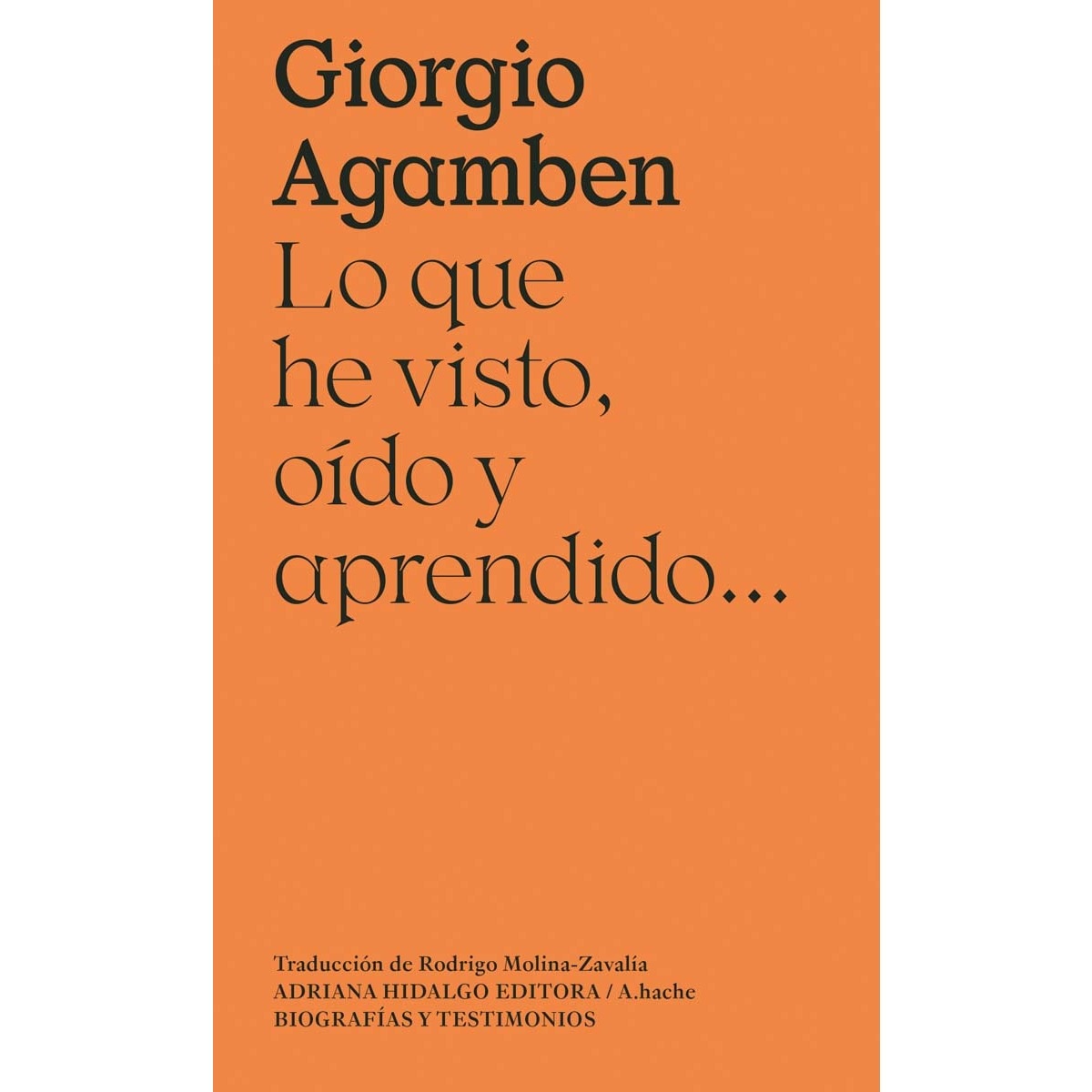 Imagem 0 de Lo que he visto, oído y aprendido...