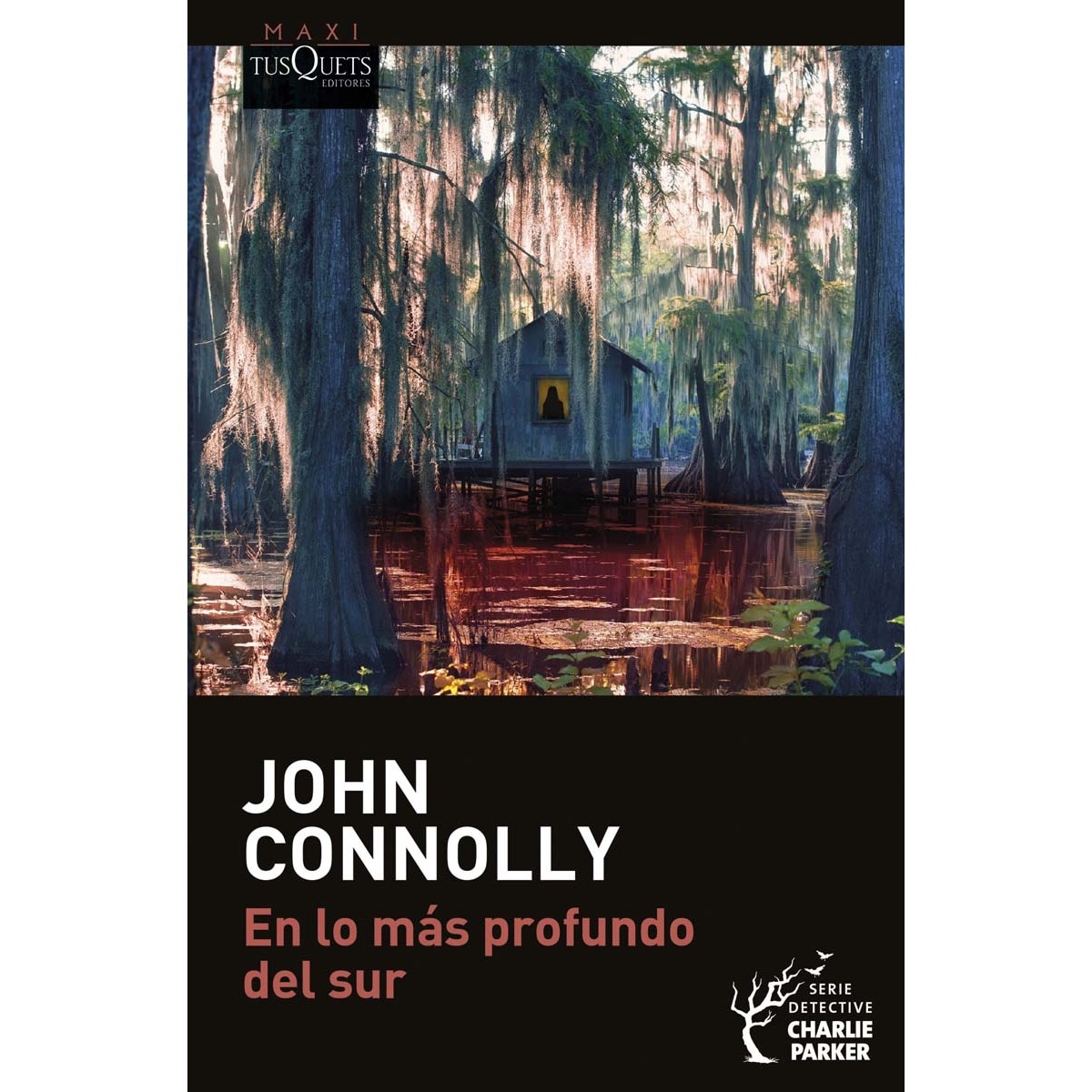 Imagem 0 de En lo más profundo del sur (Bolso)