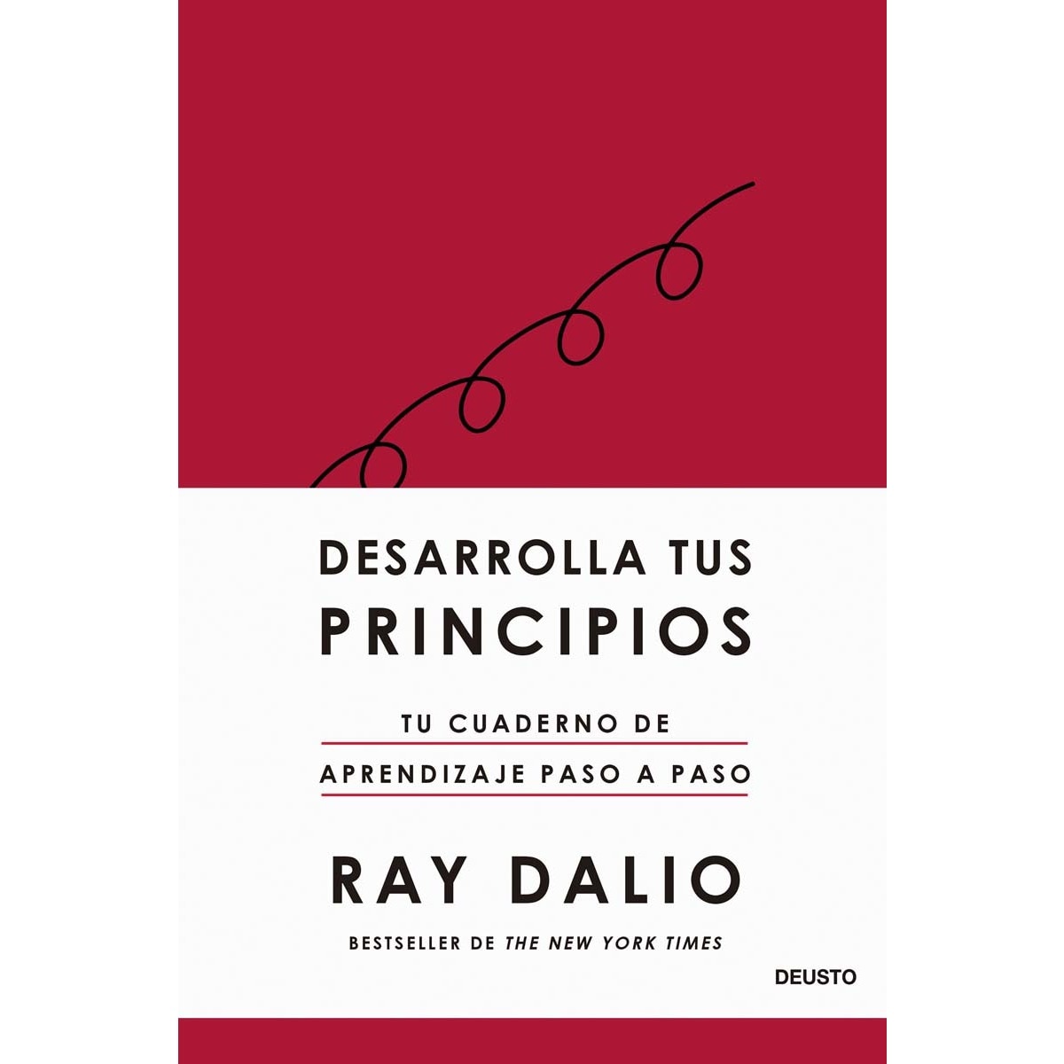 Imagem 0 de Desarrolla tus principios: Tu cuaderno de aprendizaje paso a paso