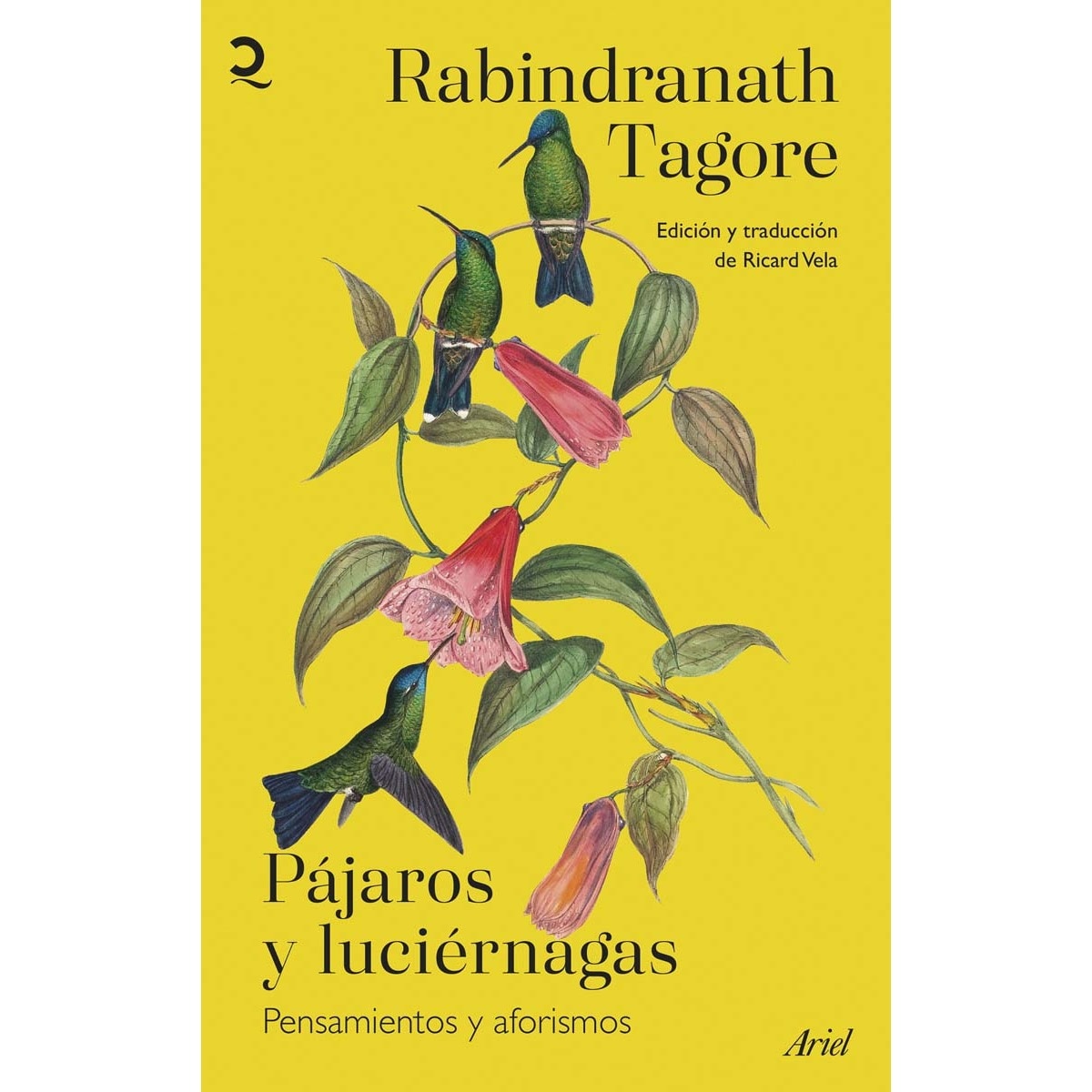 Imagem 0 de Pájaros y luciérnagas (Capa mole com abas)