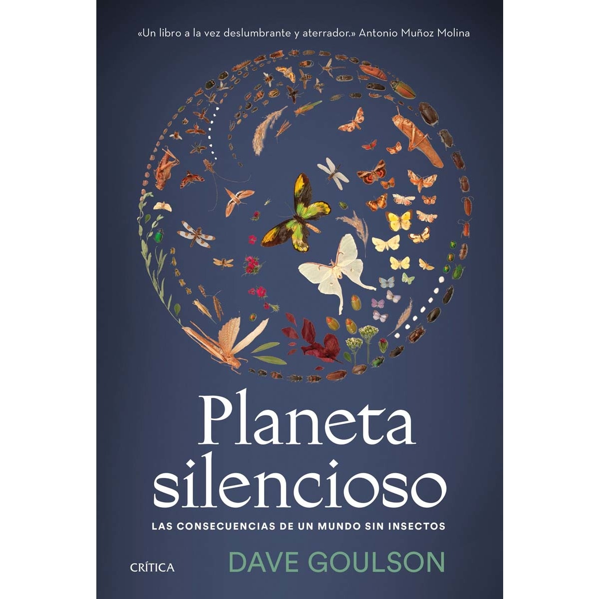 Imagem 0 de Planeta silencioso: Las consecuencias de un mundo sin insectos