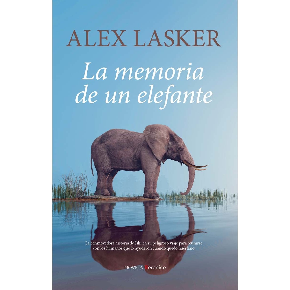 La memoria de un elefante (Capa mole) 1