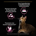 Delicate Feuchtfutter Mousse für ausgewachsene Katzen mit Truthahn Dose 85 g
