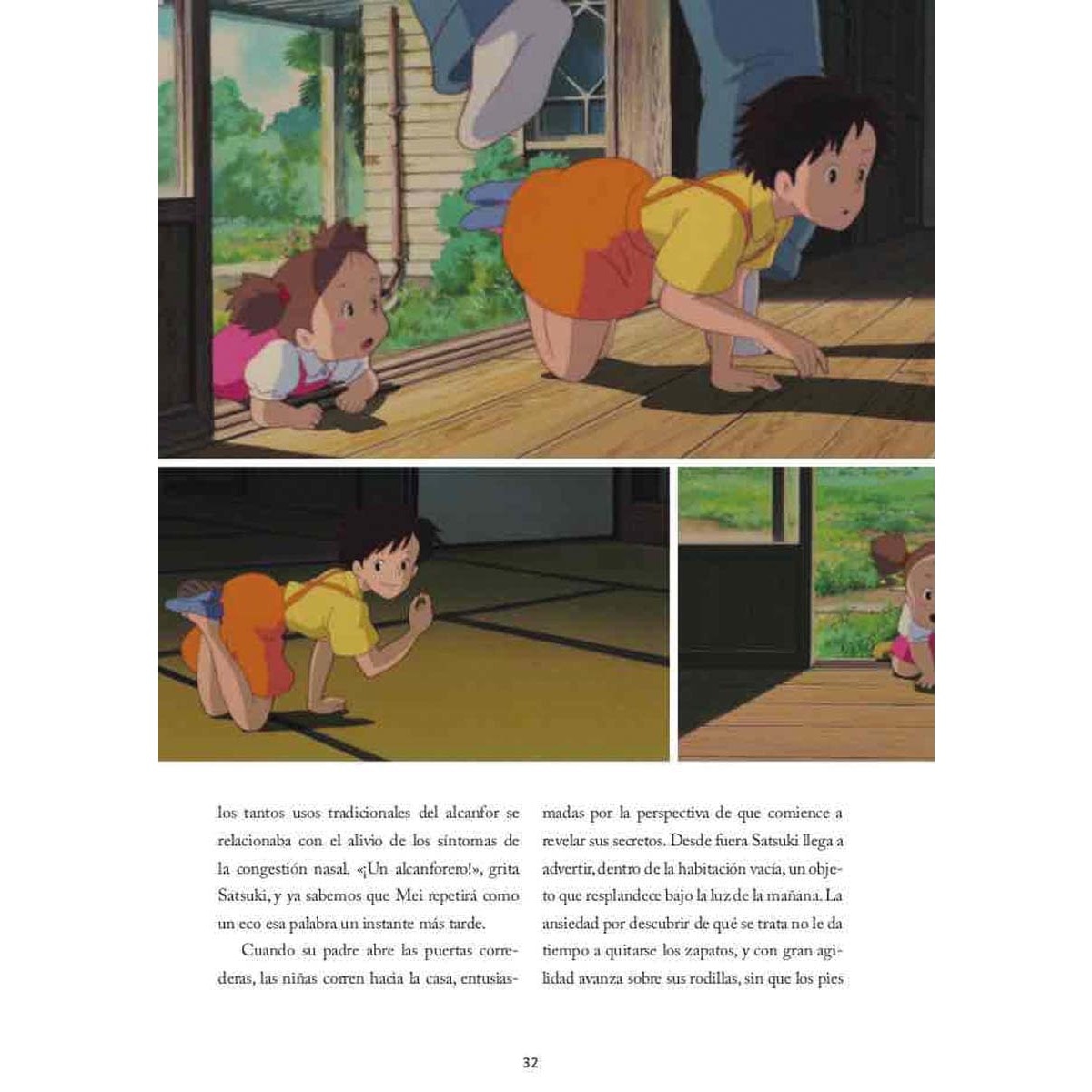 En busca de totoro: apuntes de un paseo 2