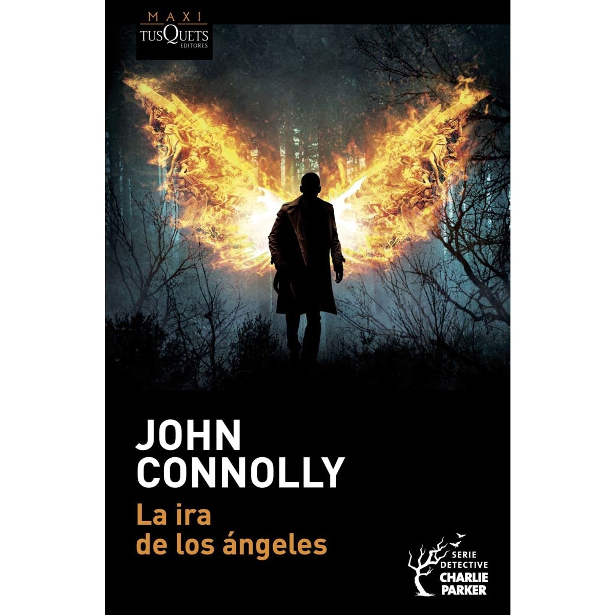 La ira de los ángeles(Bolsillo) (Tapa blanda) 1