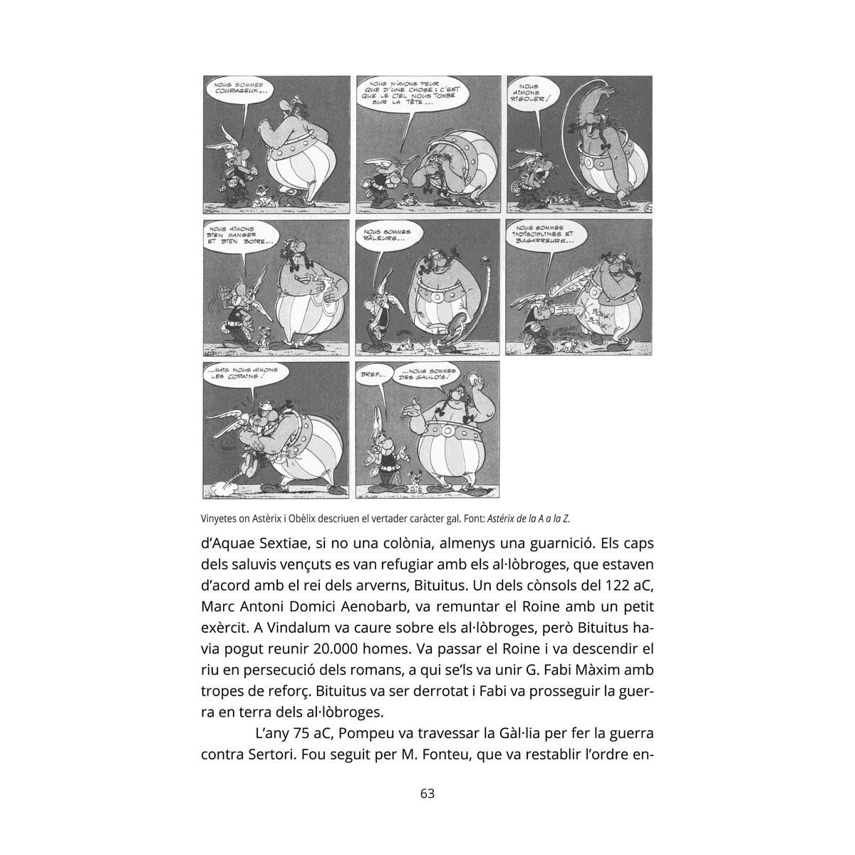Astèrix. Un fenomen global (Capa mole) 2
