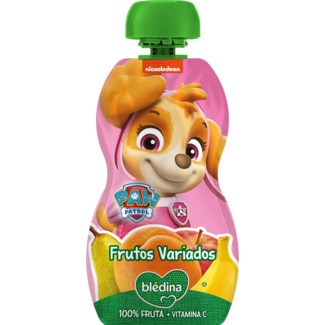 Pouch Patrulha Pata Sky Fruta Variada embalagem 100 g - Blédina