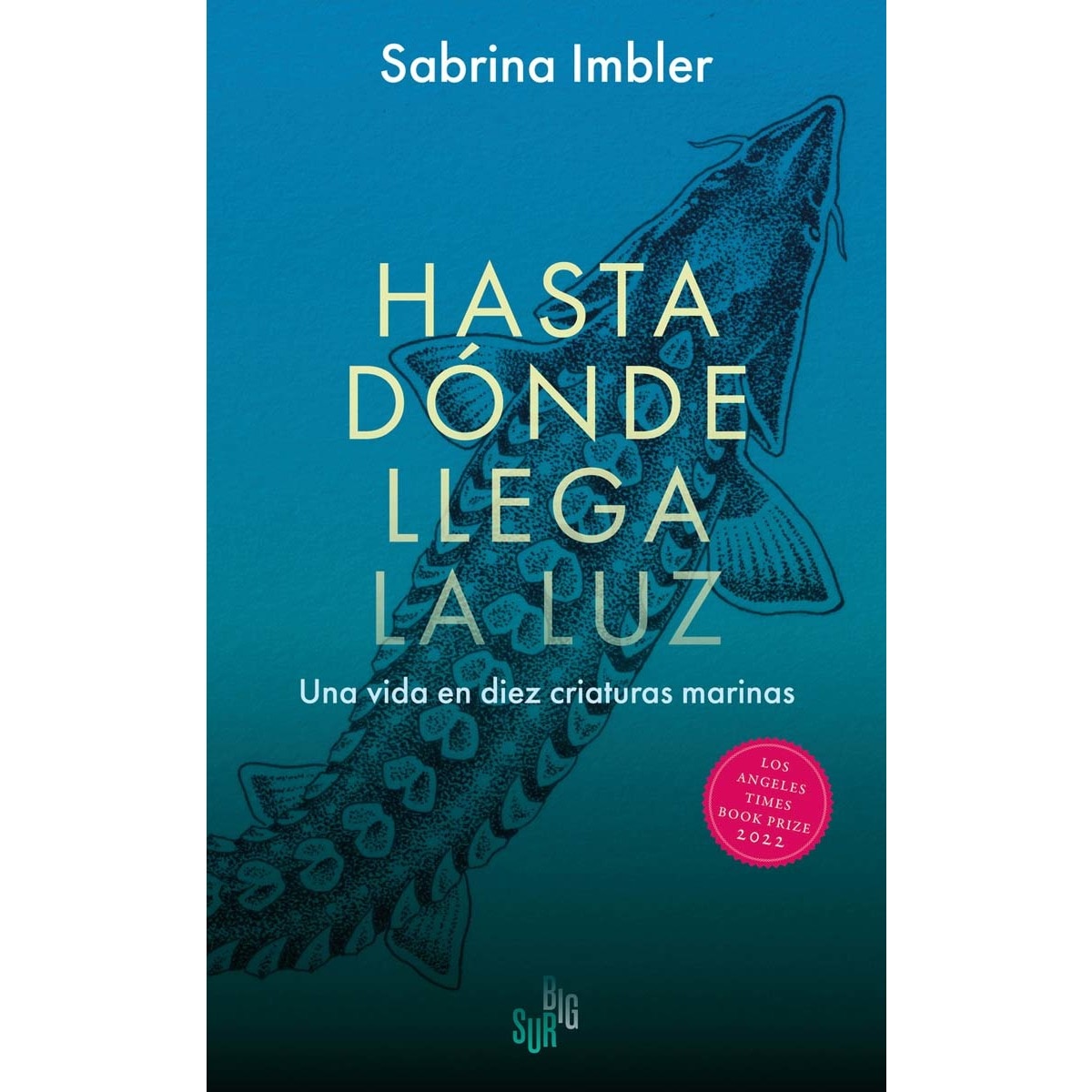 Imagem 0 de Hasta dónde llega la luz: Una vida en diez criaturas marinas (Capa mole com abas)