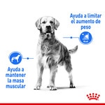 Light Weight Care Trockenfutter für ausgewachsene Maxi-Hunde Sack 12 kg