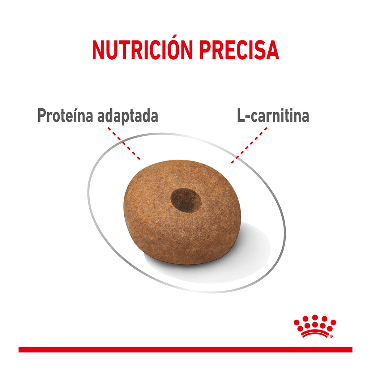 Pienso para perros adultos razas medianas Royal Canin Medium Light Weight Care 5