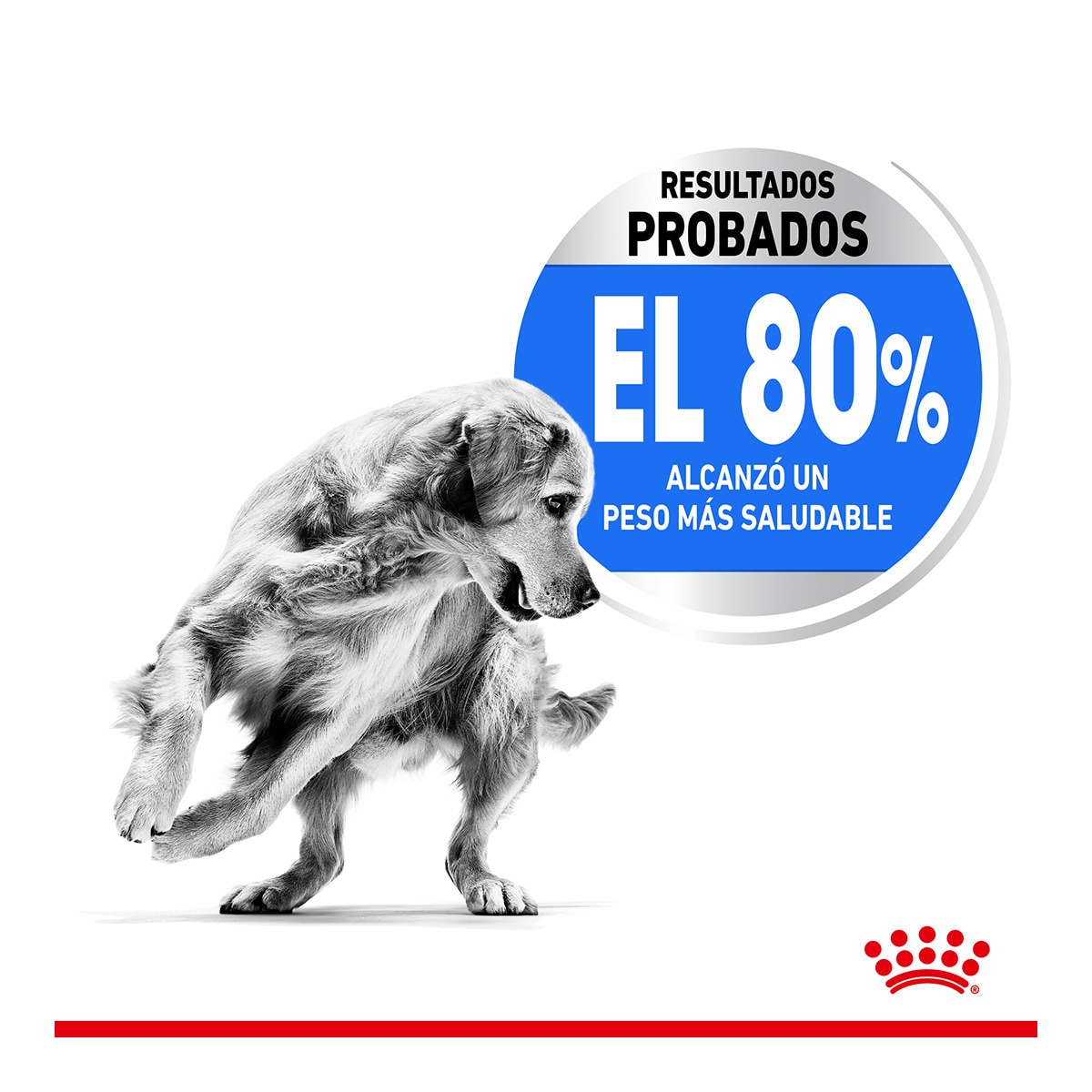 Pienso para perros adultos razas medianas Royal Canin Medium Light Weight Care 4