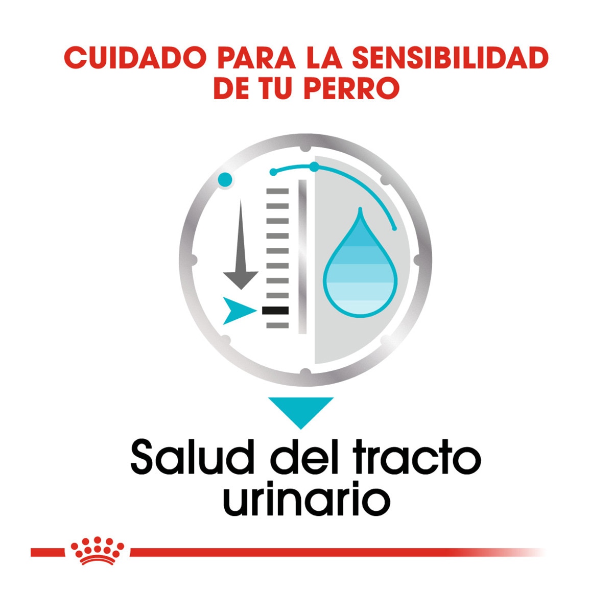Comida h meda para perros adultos urinary care 12 x 85 g royal canin
