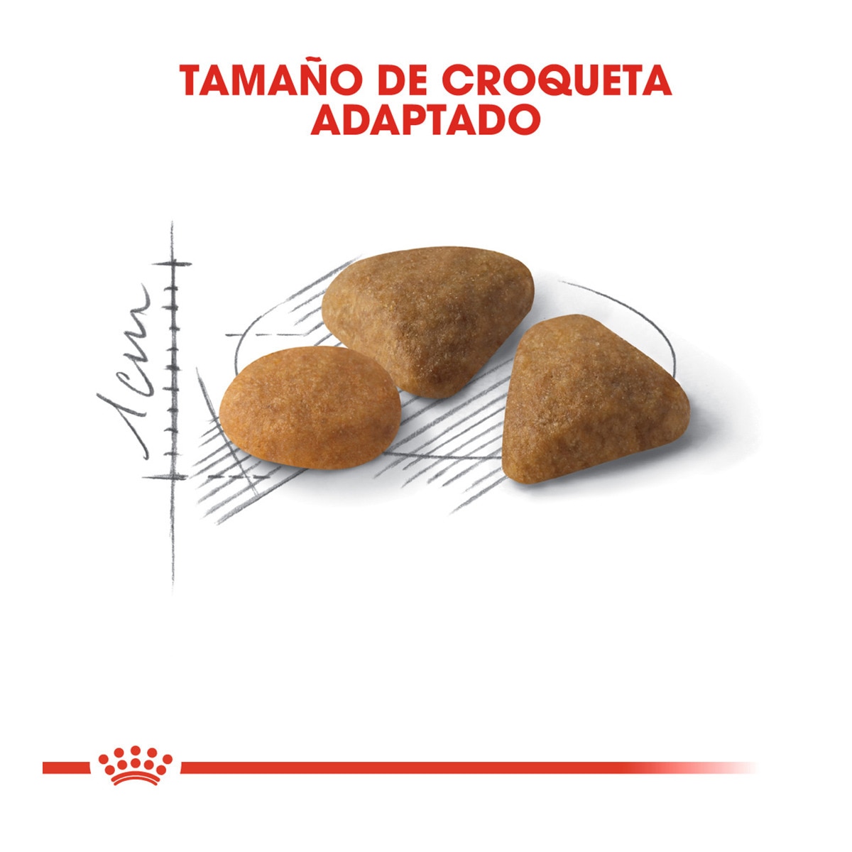 Pienso para gatos adultos Royal Canin Savour Exigent 5