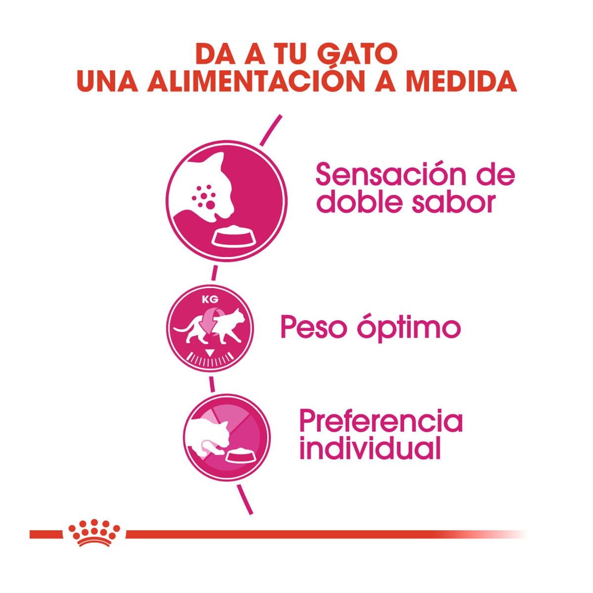 Pienso para gatos adultos Royal Canin Savour Exigent 3
