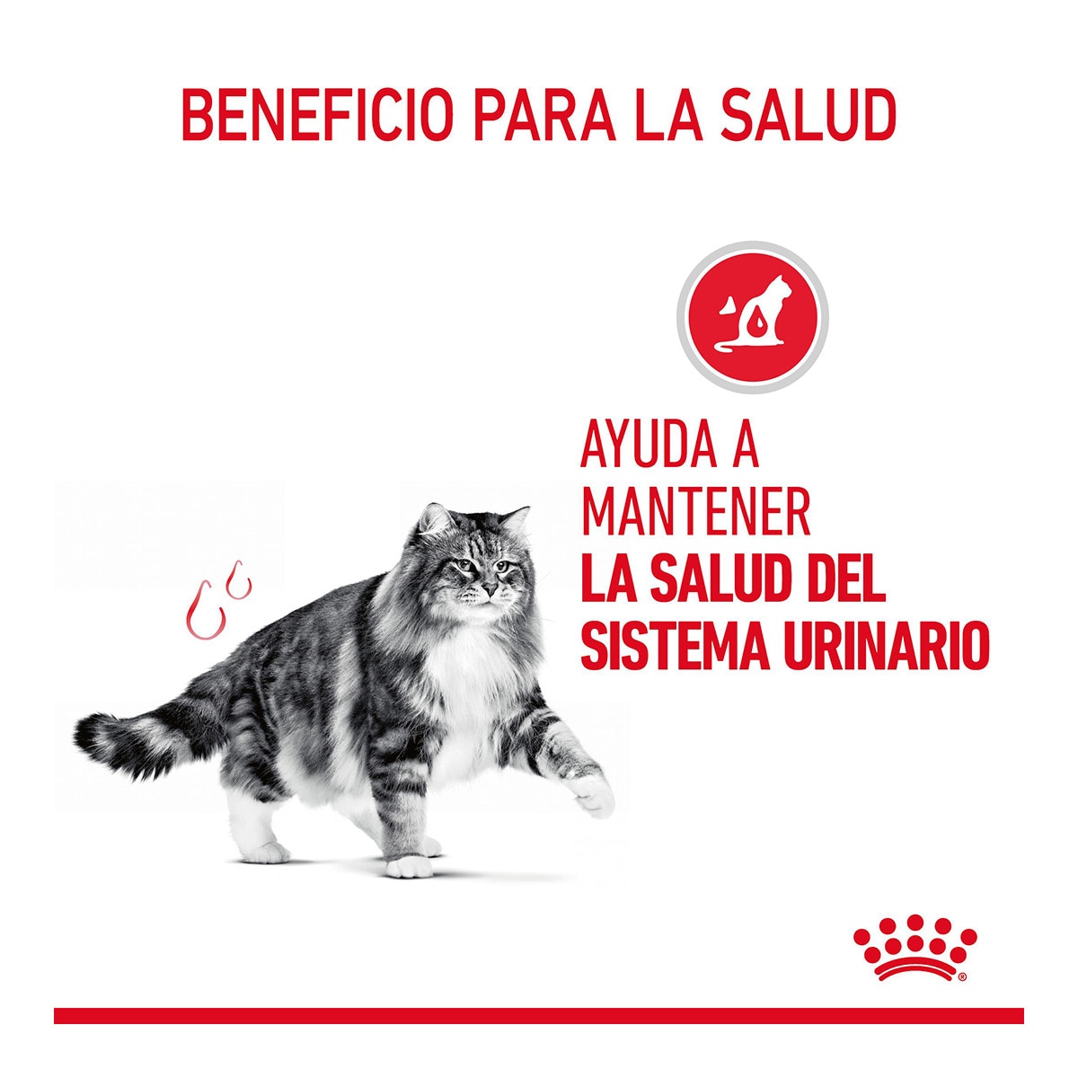 Royal Canin Urinary Care, Pienso Para Gatos