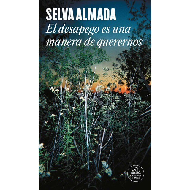 Imagem 0 de El desapego es una manera de querernos (Mapa de las lenguas) (Capa mole)