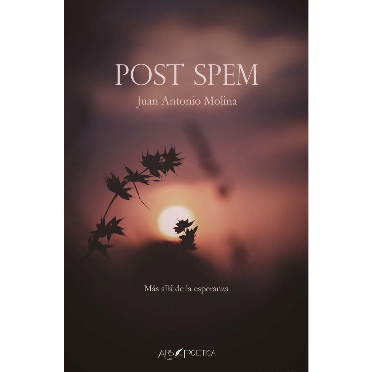 Imagen 0 de Post Spem: Más allá de la esperanza