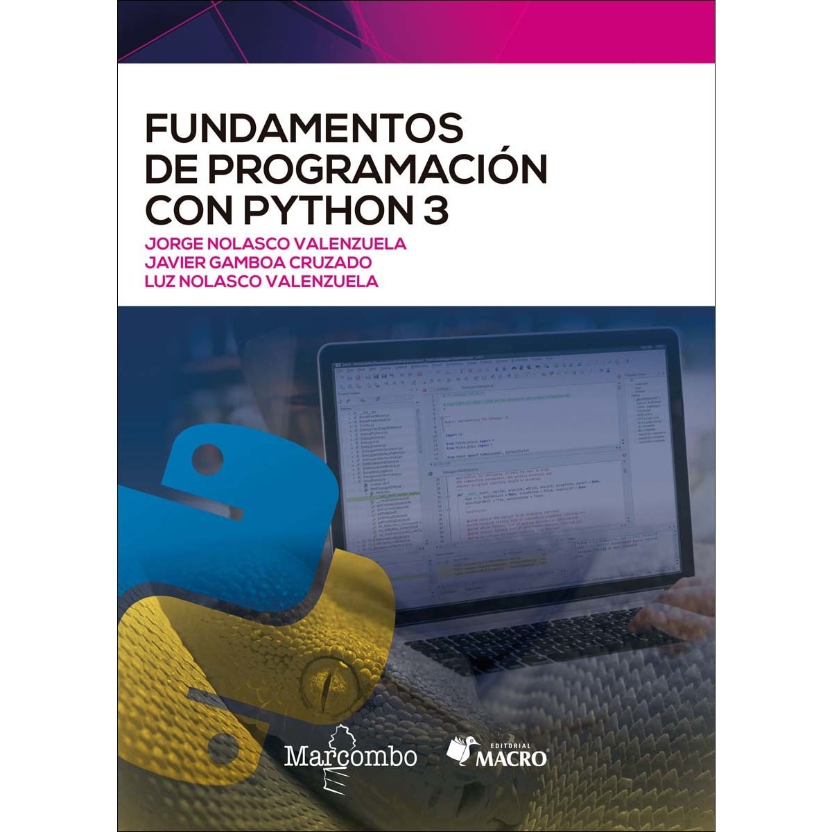 Fundamentos de programación con Python 3 (Capa mole) 1