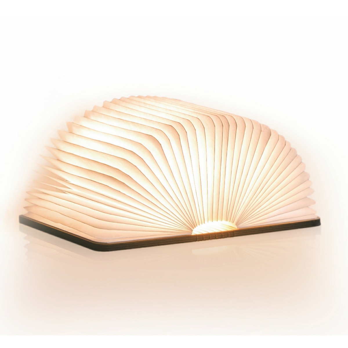 Imagem 0 de Livro Candeeiro LED Gingko Pequeno