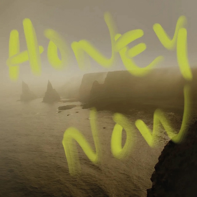 Imagen 0 de Honey now (LP-Vinilo)