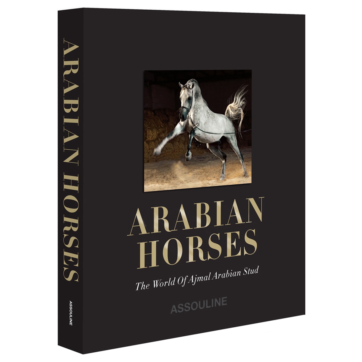 Arabian horses 1
