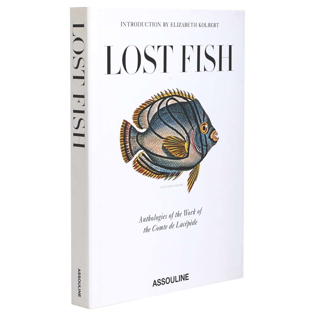 Lost fish 1