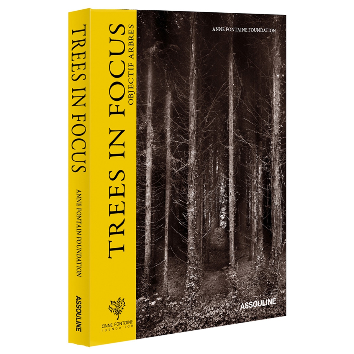 Imagem 0 de Trees in focus